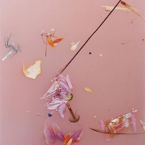 Meet your Posher, Ale